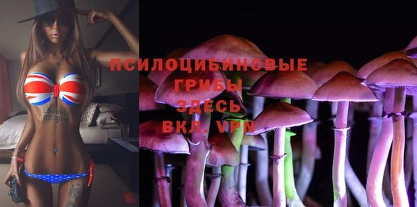 каннабис Белокуриха
