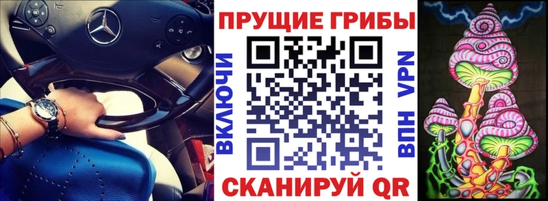 закладки  Павловск  Галлюциногенные грибы ЛСД 