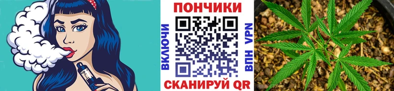 Бошки Шишки THC 21%  Павловск 